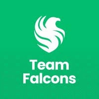 شركة فريق فالكون Team Falcons تعلن وظيفة أخصائي موارد بشرية بخبرة 3 سنوات
